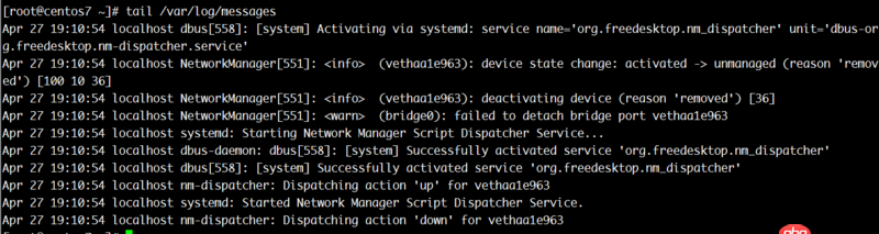 dockerfile - docker 以-d模式启动时闪退的问题，docker桥接网络的问题