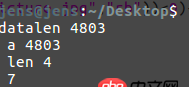 linux - 执行fread函数出现问题