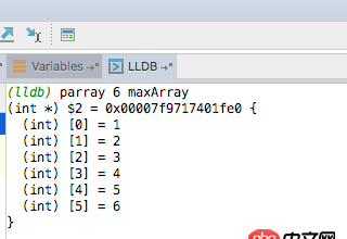 c++ - Mac下CLion调试C时无法查看动态数组的全部内容