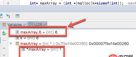 c++ - Mac下CLion调试C时无法查看动态数组的全部内容