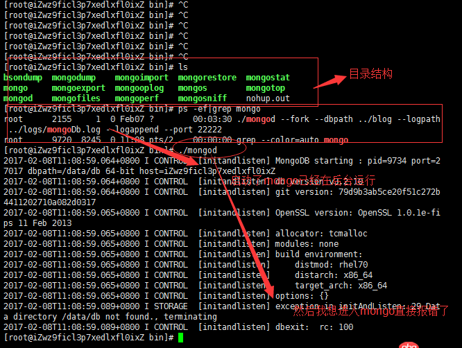 关于mongoDB启动的问题