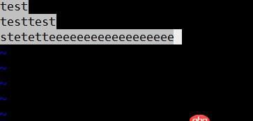 vim 打开文件每行字体都加上了高亮背景