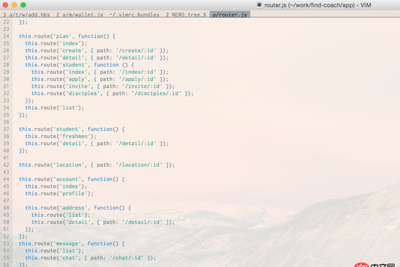 vimrc - vim colorscheme 设置了没有效果？