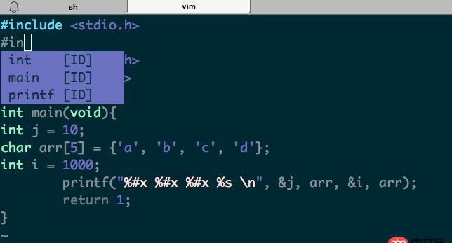 macos - mac vim youcomplete提示