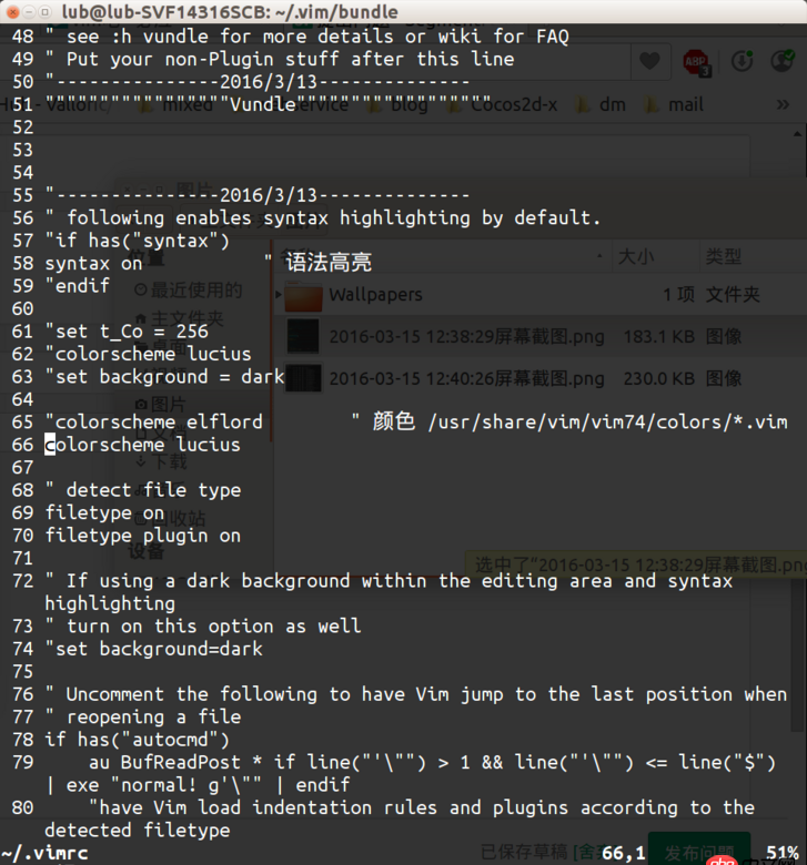 vim 颜色配置无效,且全是白色