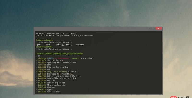 shell - 有木有UI画面比较好看的window终端控制台软件推荐的?