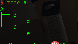 vim插件 - vim ctrlp文件搜索时当前路径问题