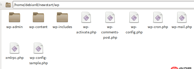 为何没有把wp这个文件夹push到我的github?