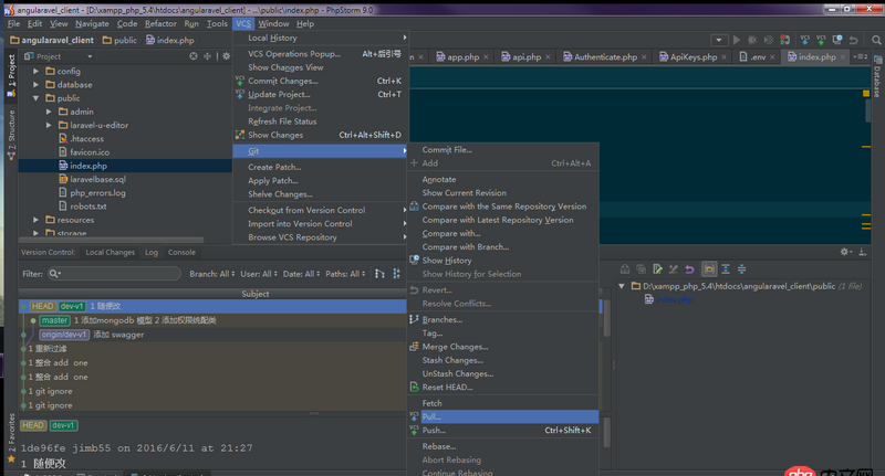 phpstrom - git push 失败