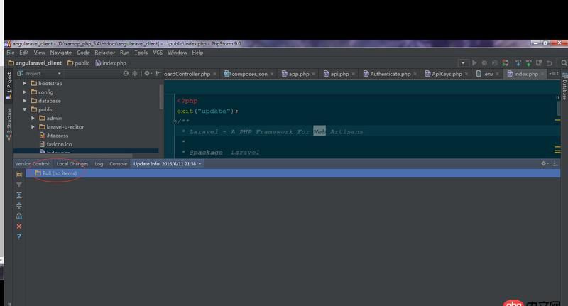 phpstrom - git push 失败