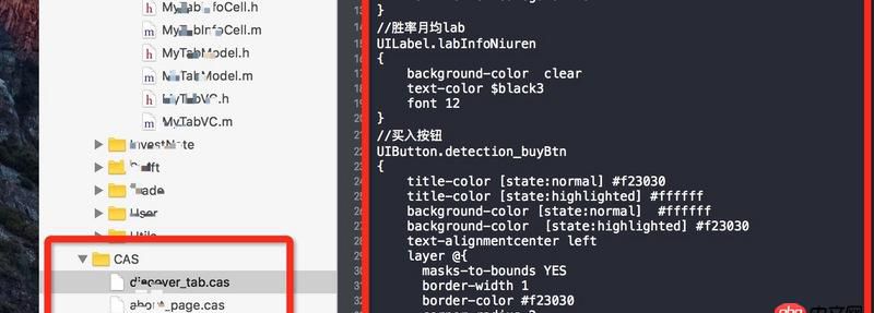 objective-c - 偶然间看见了这种cas文件？请问这是什么写法？