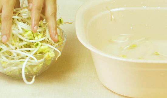 豆芽的做法