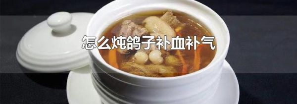怎么炖鸽子补血补气