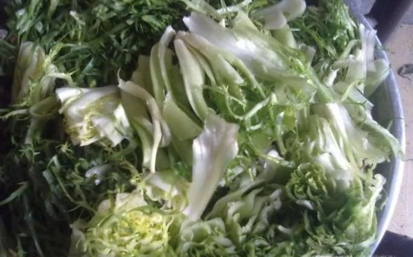 苦菊怎么做才好吃 清炒苦菊的做法