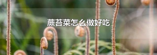 蕨苔菜怎么做好吃
