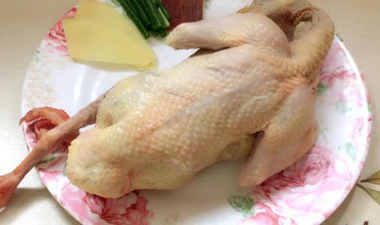 鸽子汤怎么炖不上火