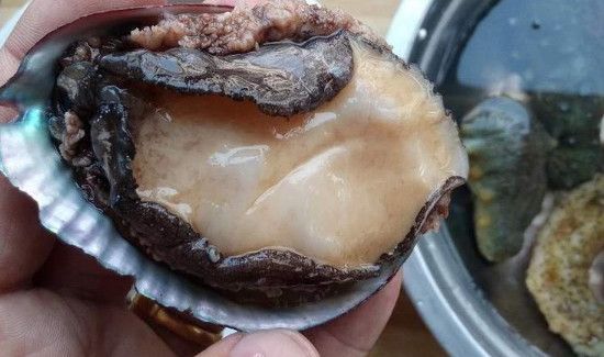 冰冻鲍鱼该怎么做好吃
