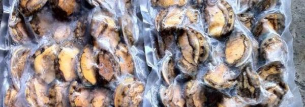 冰冻鲍鱼该怎么做好吃