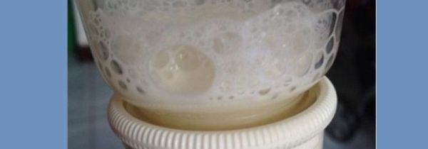 没有牛奶怎么做奶茶