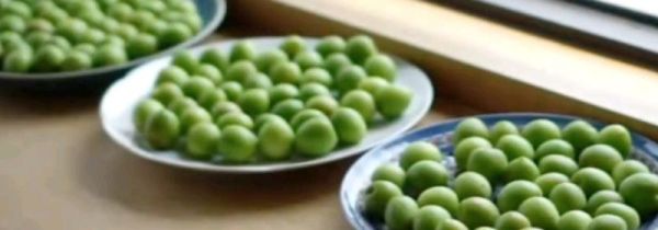 青杏怎么做成蜜饯