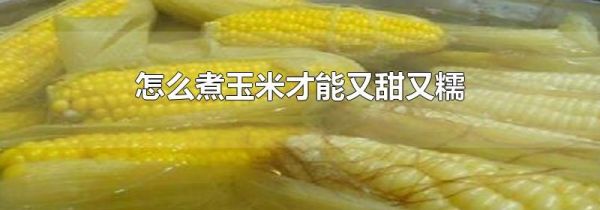 怎么煮玉米才能又甜又糯
