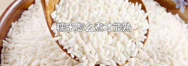 糯米怎么煮才能熟