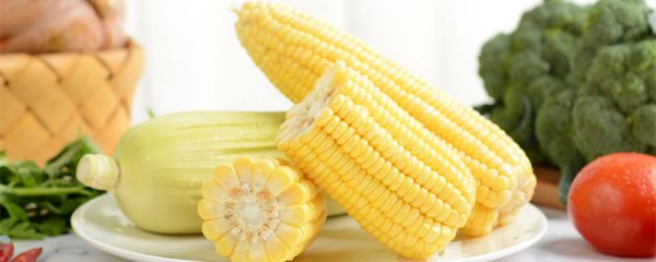 水果玉米怎么煮 水果玉米怎么煮好吃