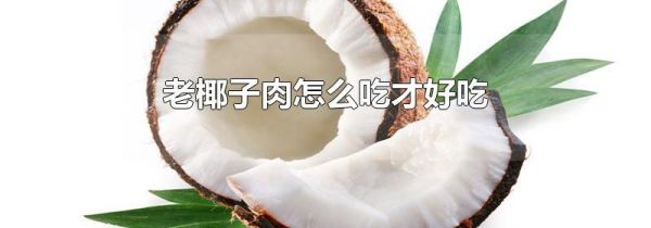 老椰子肉怎么吃才好吃