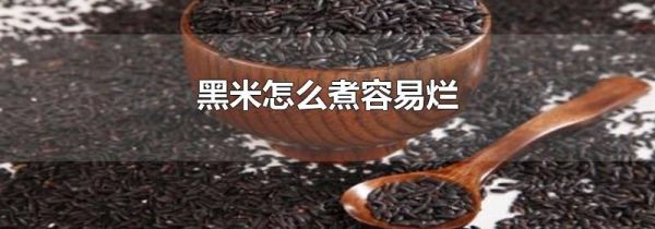 黑米怎么煮容易烂