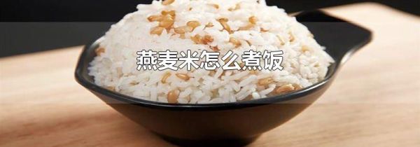 燕麦米怎么煮饭