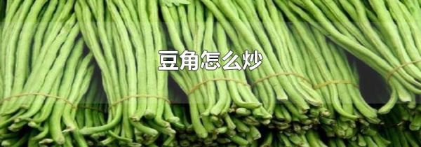 豆角怎么炒