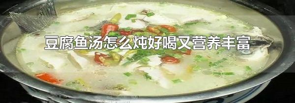 豆腐鱼汤怎么炖好喝又营养丰富