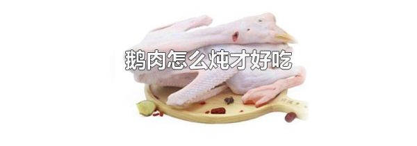 鹅肉怎么炖才好吃