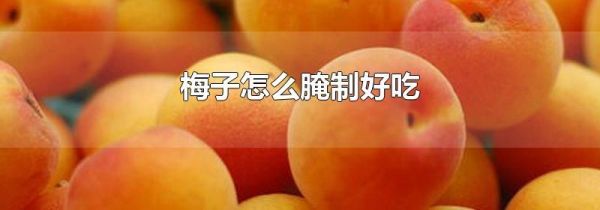 梅子怎么腌制好吃