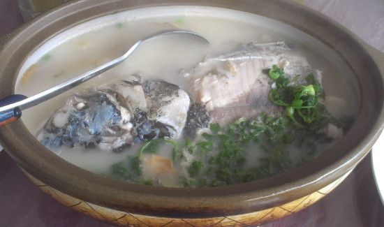 胖头鱼头怎么炖不腥