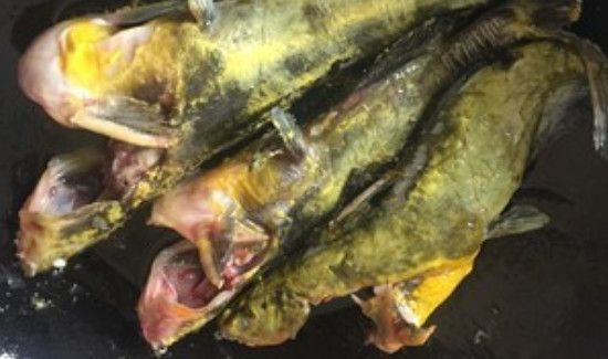 昂公鱼汤的做法窍门