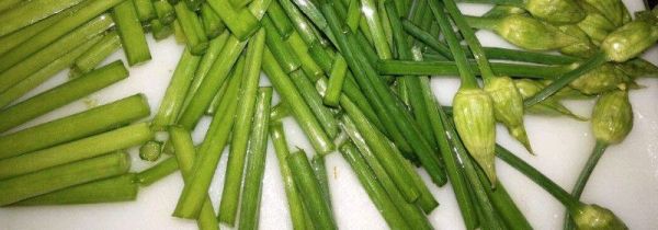 怎么腌制韭菜花不发黄