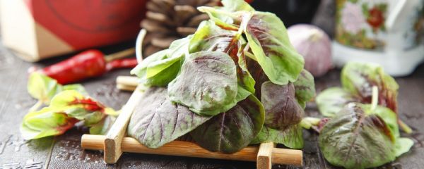 汉菜的做法 汉菜怎么吃