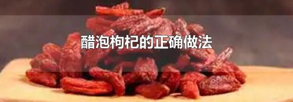 醋泡枸杞的正确做法