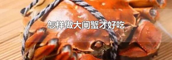 怎样做大闸蟹才好吃