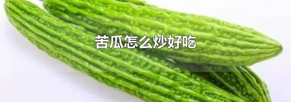 苦瓜怎么炒好吃