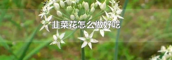 韭菜花怎么做好吃