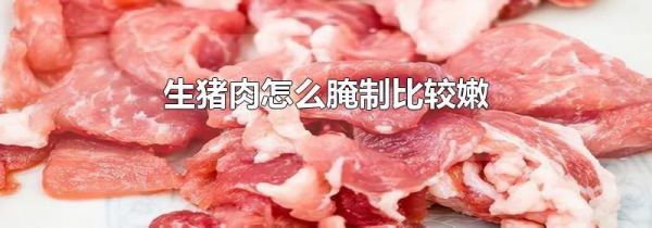 生猪肉怎么腌制比较嫩