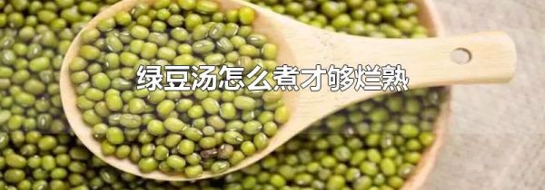 绿豆汤怎么煮才够烂熟