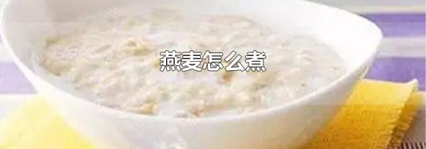 燕麦怎么煮