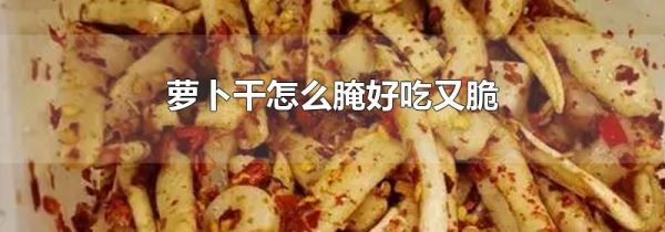 萝卜干怎么腌好吃又脆