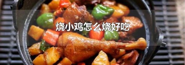 烧小鸡怎么烧好吃