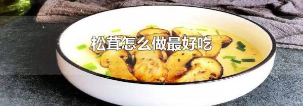 松茸怎么做最好吃