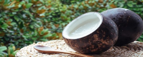 椰子创丝的做法 椰子创丝的做法是什么