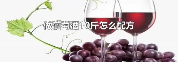 做葡萄酒10斤怎么配方